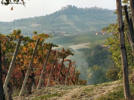 langa