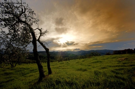 Toscana