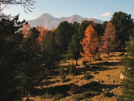 fine di una giornata autunnale