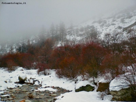 pennellata d'autunno