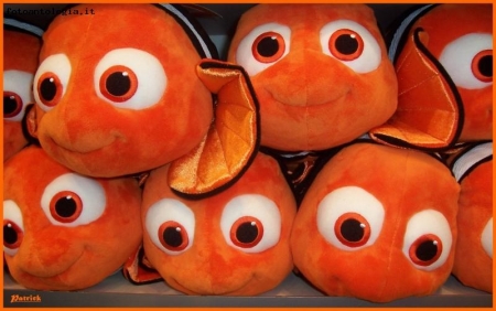 Nemo, e i suoi fratelli