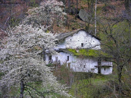 primavera in Val Varaita