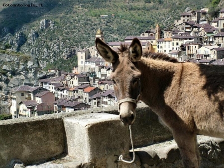 antiche emozioni