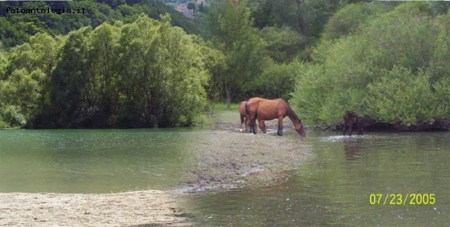 natura e bello sentire il tuo silenzio