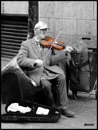 L'amico violino