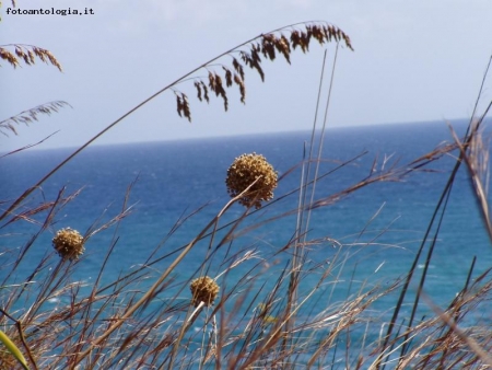 soffio di vento