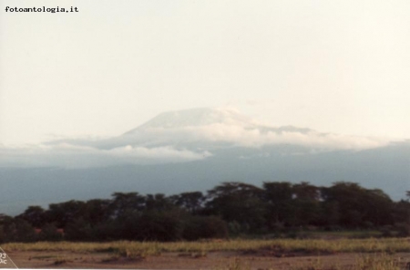 kilimanjaro