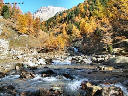 autunno in Val Varaita