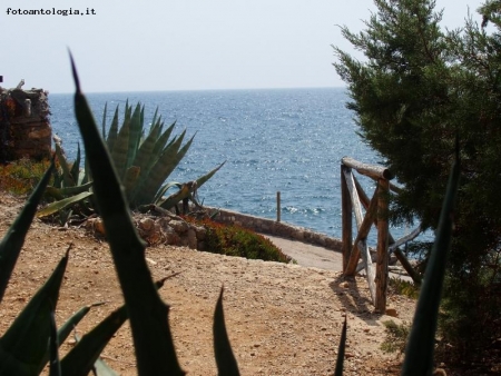 Verso il mare