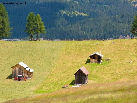 Trentino d'estate