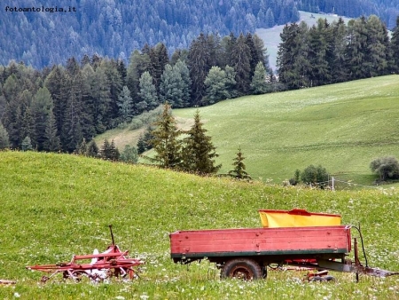 lavori nei campi