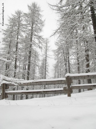 Nevicata di Marzo