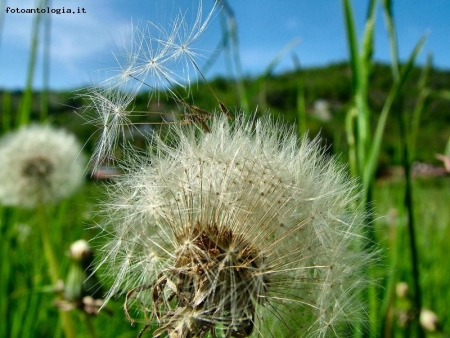 un soffio di natura