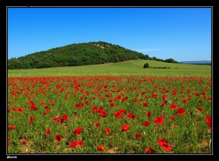 Campagna toscana