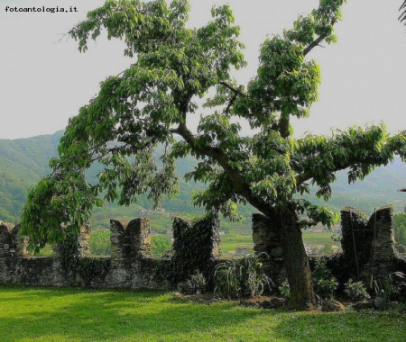 dal parco del Castello