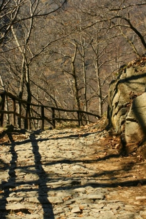 sentieri di marzo