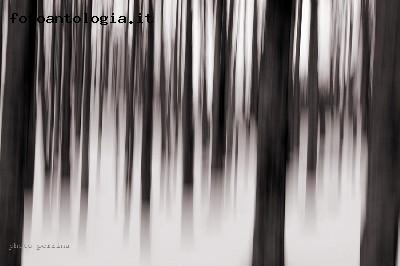 Jump trees