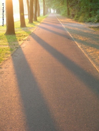 Un'alba per strada