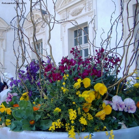 Primavera a Venaria