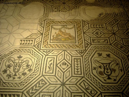 Mosaici nelle Domus: Dionisio e la pantera