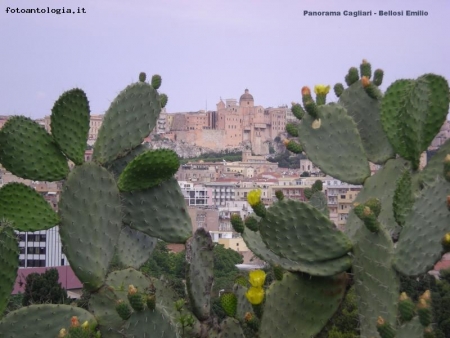 Panorama Cagliari