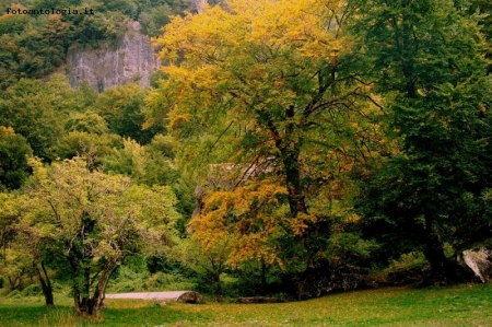 Autunno a 7 Frati