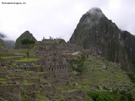 Machu Picchu