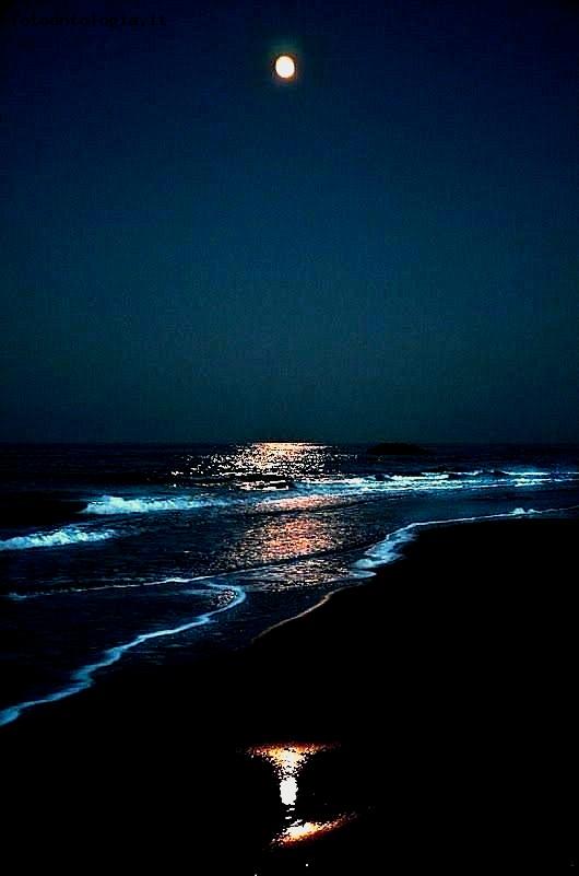 notturno