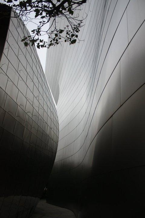 WDCH