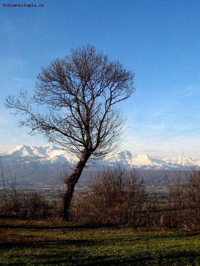 In punta di piedi