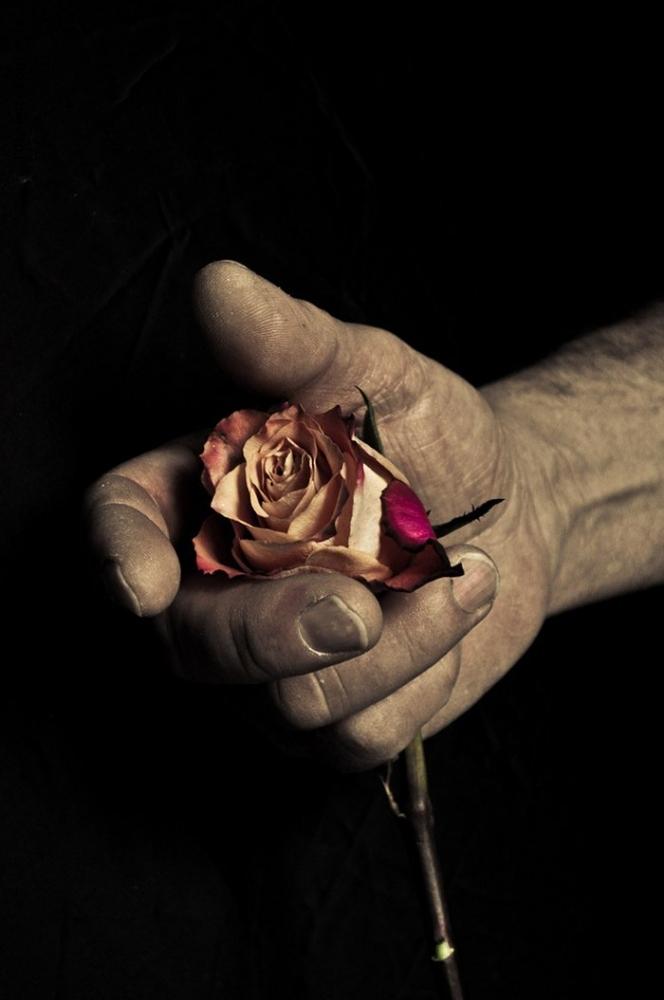 Contrast. fragility e fortitude