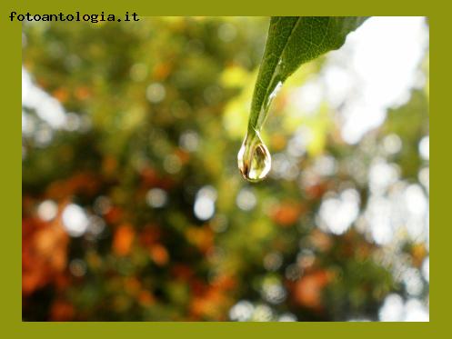 una stagione dentro una piccola goccia