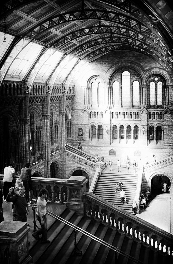 National History Museum