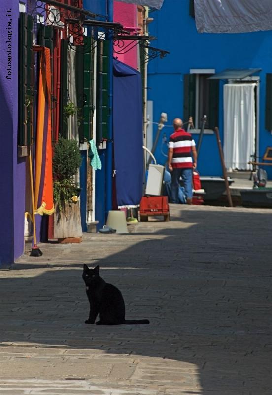 burano