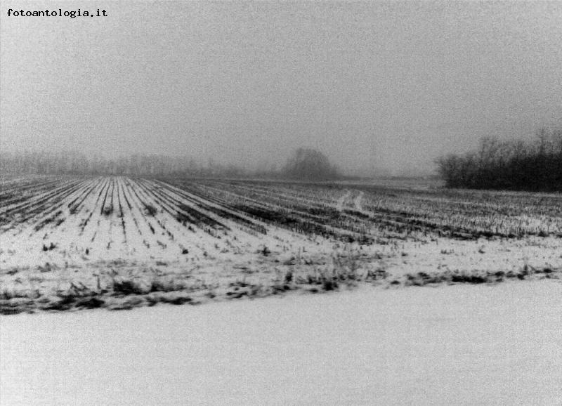 Neve sui campi