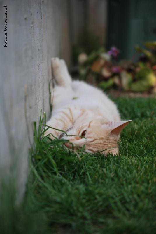 Posizioni di relax