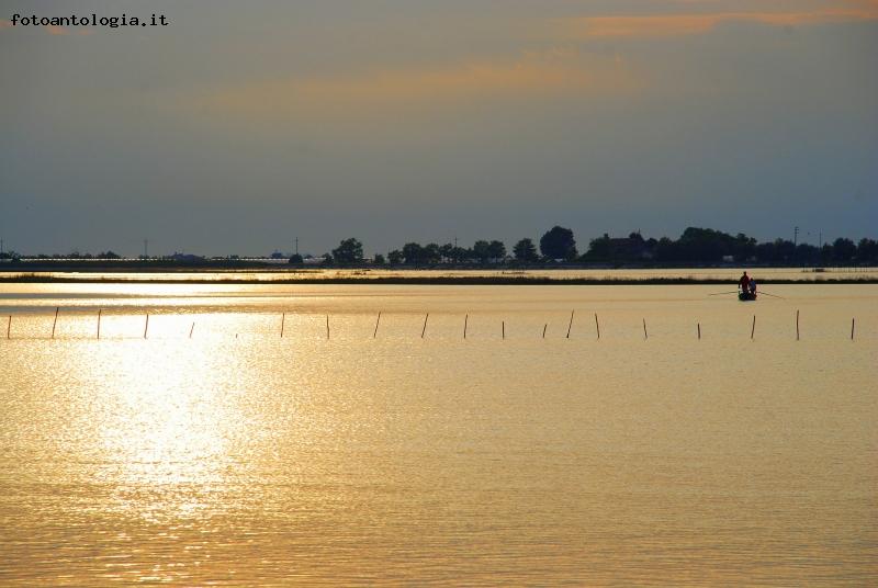 Golden Sunset