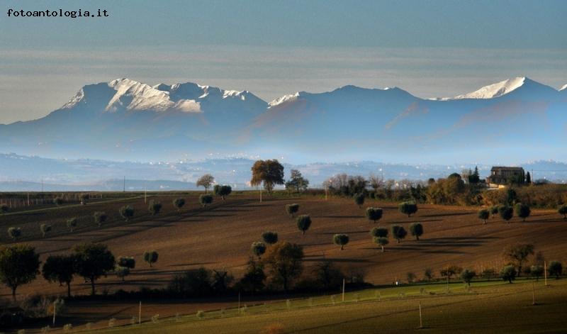 fin dove arriva lo sguardo...