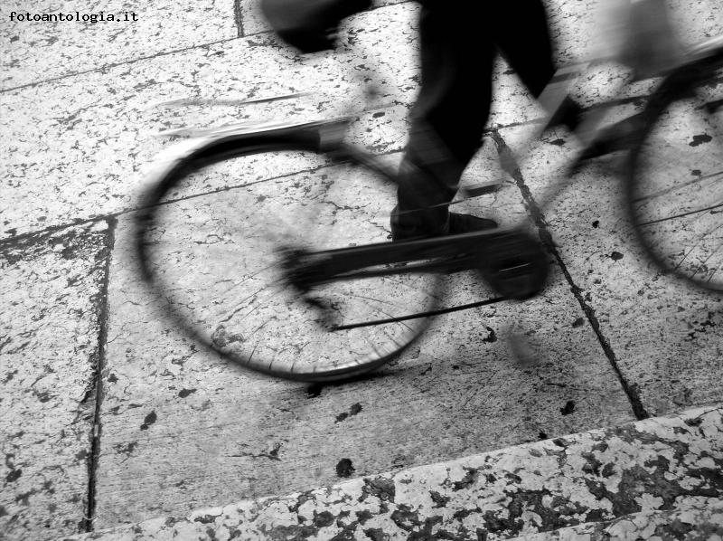 movimento