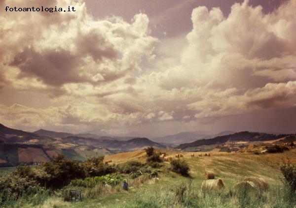 dalle colline parmensi