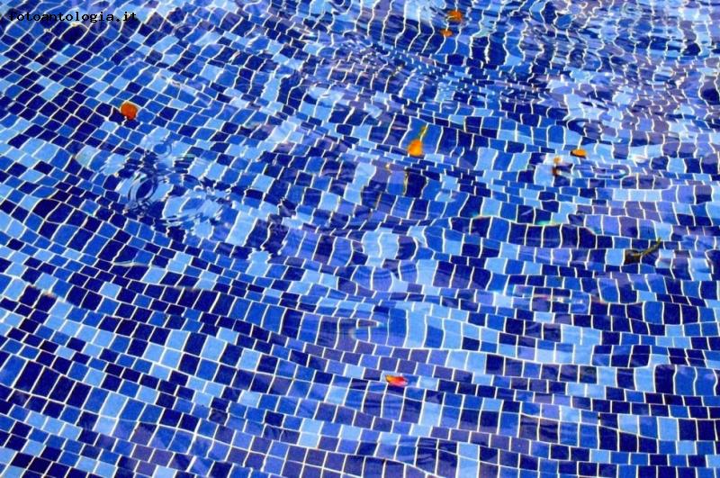 Acqua blu e foglie