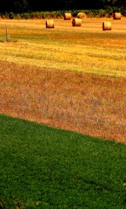 Le linee della terra