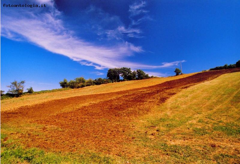 appennino reggiano