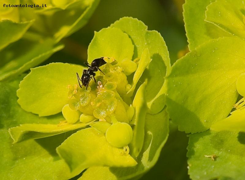 è primavera anche per lei