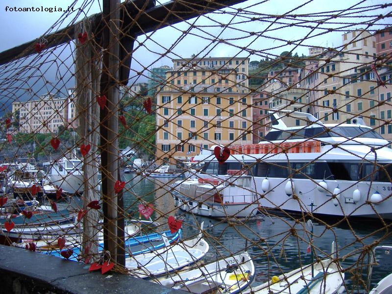 Cuori nella rete d'amore