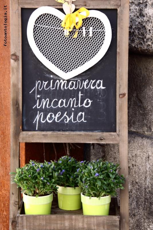 la primavera dal ..cuore