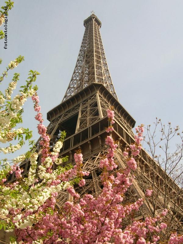 Da sotto la torre