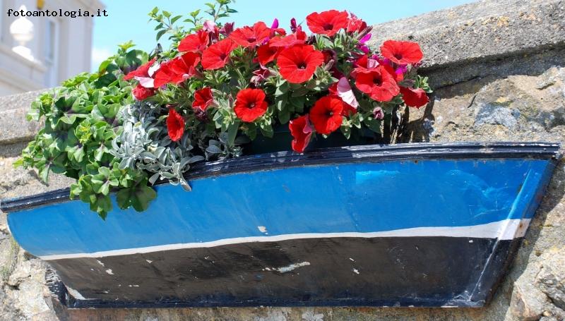 ......barca in fiore