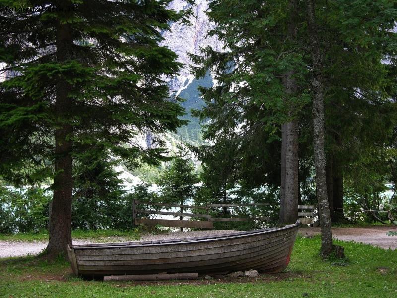 come una barca nel bosco...