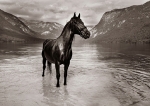 BOHINJSKO JEZERO BOHINJSKO JEZERO
